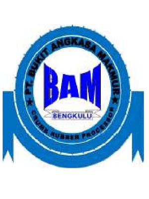 BAM logo